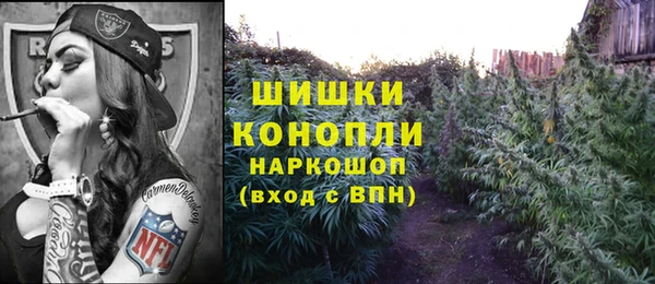 СК Алексин