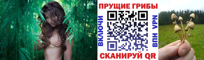 Псилоцибиновые грибы мухоморы  KRAKEN как войти  Безенчук  где купить наркотик 